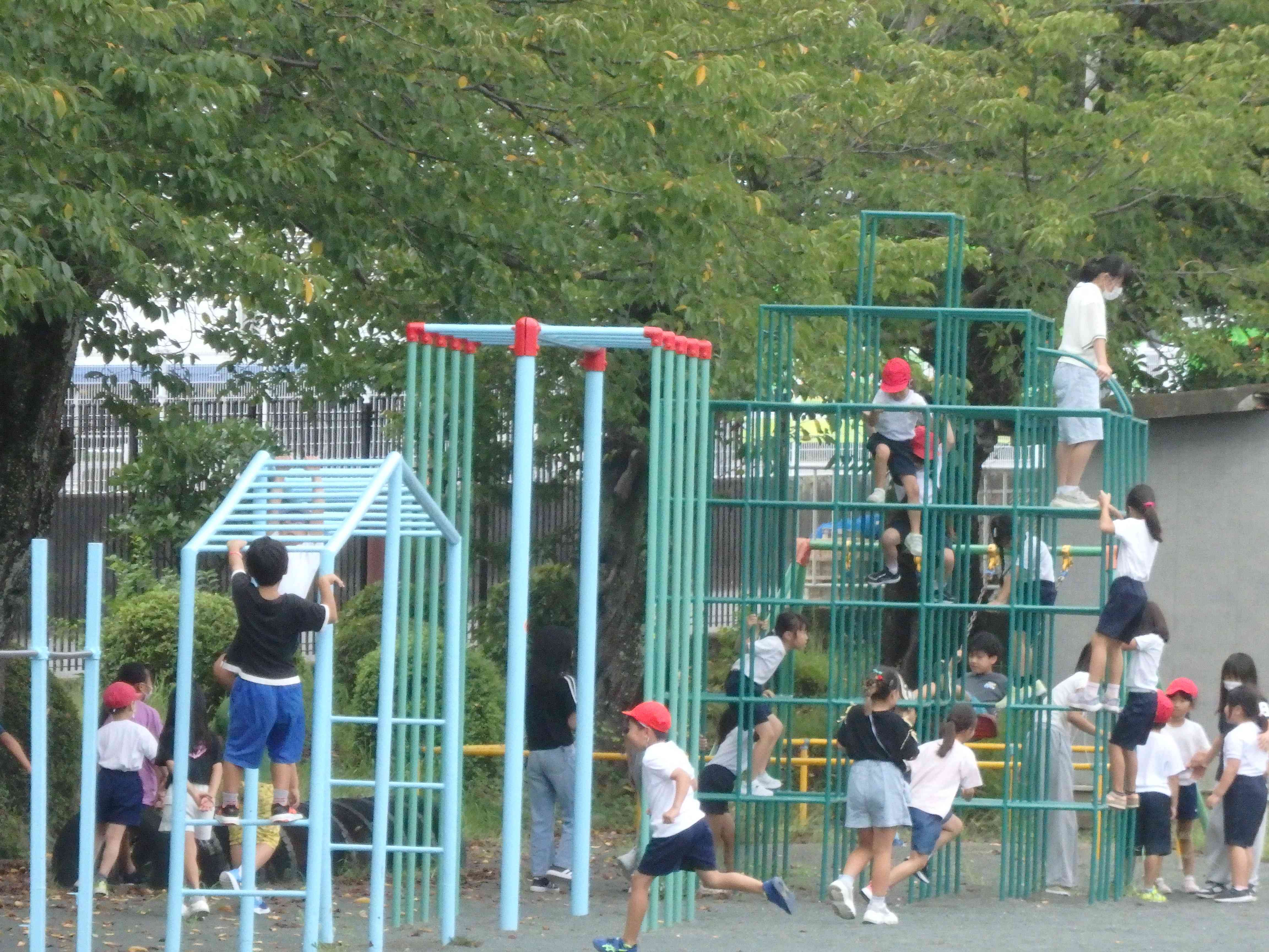P9010421